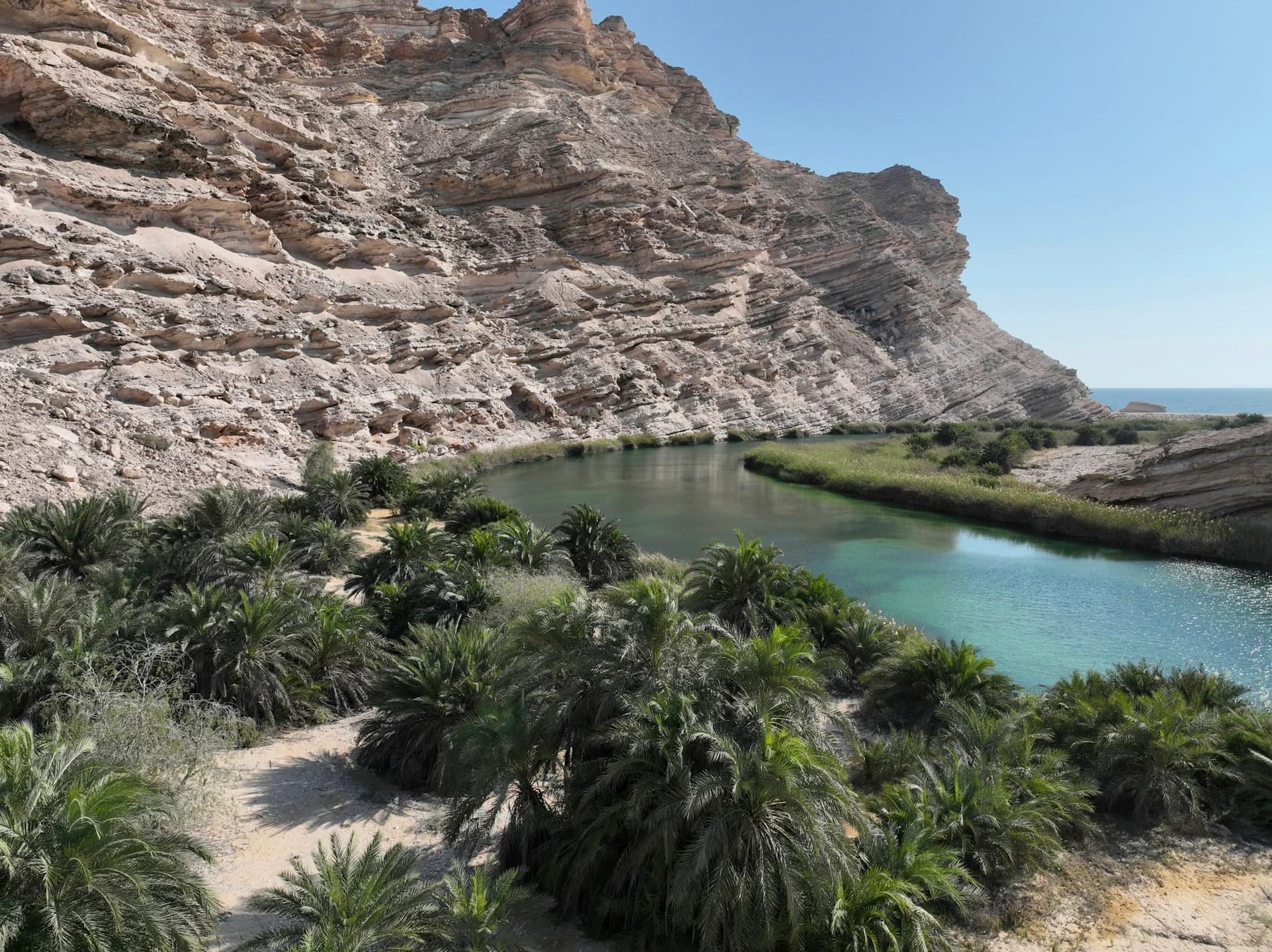 نخيل ومسطح مائي بين تضاريس صخرية.